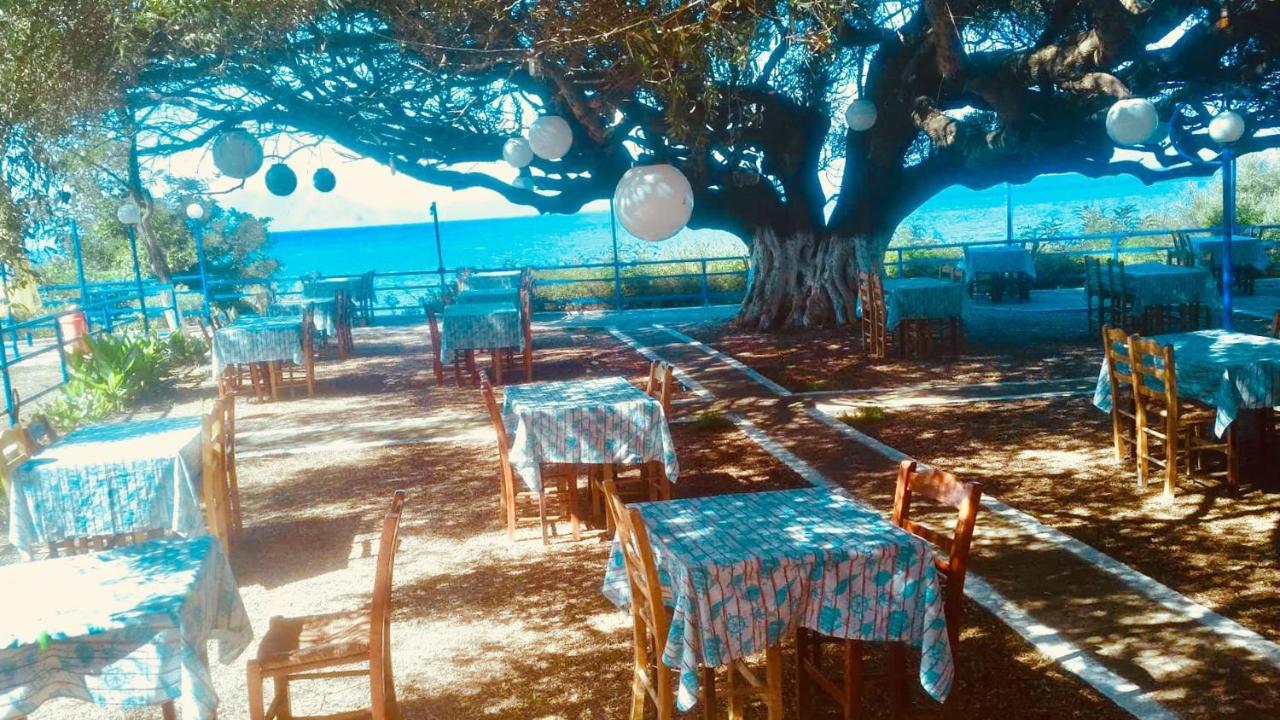 Camping Kato Alissos Campsite *
